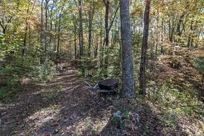 294 Sunnyside Lane, Marble, NC 28905 - Photo 38
