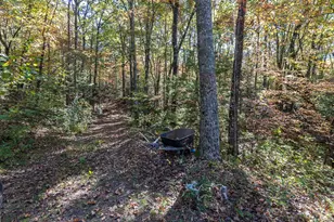 294 Sunnyside Ln, Marble, NC 28905 - Photo 38
