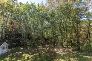 294 Sunnyside Ln, Marble, NC 28905 - Photo 52