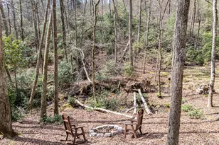 1220 Burger Rd, Murphy, NC 28906 - Photo 92