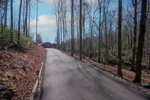 1220 Burger Rd, Murphy, NC 28906 - Photo 52