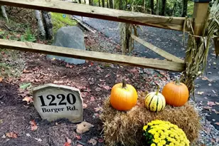 1220 Burger Rd, Murphy, NC 28906 - Photo 68