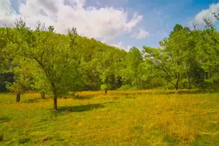 3325 Pack Mountain Rd, Murphy, NC 28906 - Photo 50