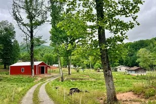 3325 Pack Mountain Rd, Murphy, NC 28906 - Photo 76