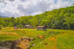 3325 Pack Mountain Rd, Murphy, NC 28906 - Photo 6