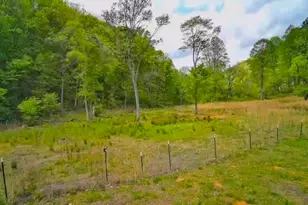 3325 Pack Mountain Rd, Murphy, NC 28906 - Photo 60