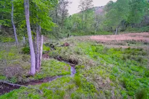 3325 Pack Mountain Rd, Murphy, NC 28906 - Photo 64