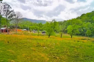 3325 Pack Mountain Rd, Murphy, NC 28906 - Photo 62