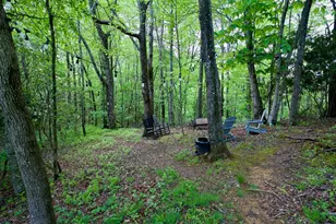 49 Richter Dr, Nantahala, NC 28781 - Photo 8