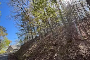 Lot 2 Lonesome Pine, Murphy, NC 28906 - Photo 1