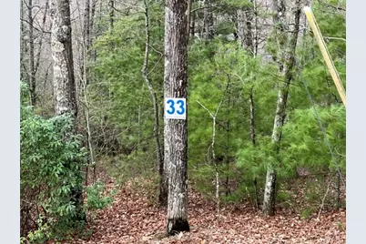 Lot 33 Sahkanaga Drive, Murphy, NC 28906 - Photo 4
