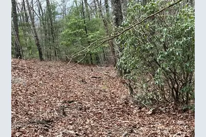 Lot 33 Sahkanaga Drive, Murphy, NC 28906 - Photo 2