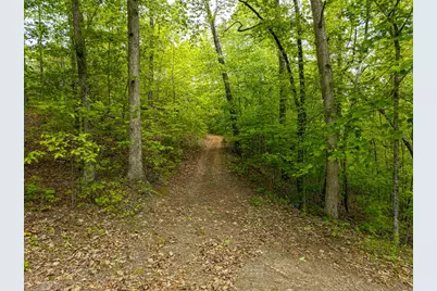 445 Tranquil Cove Road, Murphy, NC 28906 - Photo 88