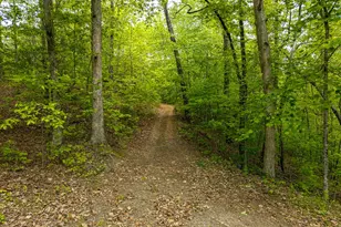 445 Tranquil Cove Rd, Murphy, NC 28906 - Photo 88