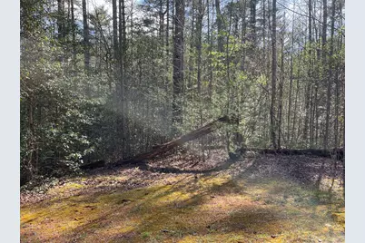 Lot 89 Spectacular, Hayesville, NC 28904 - Photo 6