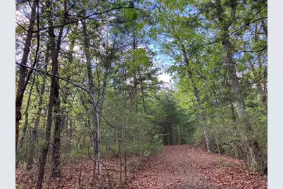 Lt24 Mission Ridge Court, Hayesville, NC 28904 - Photo 6