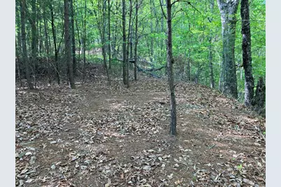 Lt24 Mission Ridge Court, Hayesville, NC 28904 - Photo 1