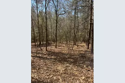 00 Blue Ridge Heights, Hayesville, NC 28906 - Photo 8