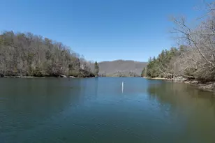 20 and 24 Alpine Shores Ln, Topton, NC 28781 - Photo 24