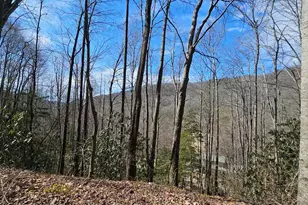 16 Warrior Way, Andrews, NC 28901 - Photo 1