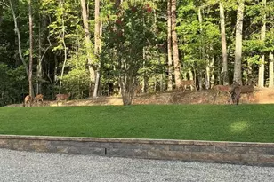 206 Hedden Rd, Murphy, NC 28906 - Photo 24