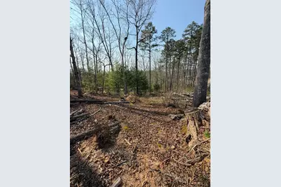 123 Longridge Road, Murphy, NC 28906 - Photo 4