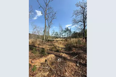 123 Longridge Road, Murphy, NC 28906 - Photo 2