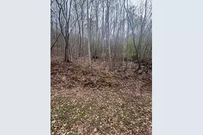 Lot 4 Buck Ridge Drive, Murphy, NC 28906 - Photo 2