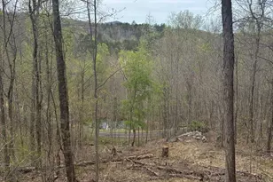 Lot 4 Buck Ridge Dr, Murphy, NC 28906 - Photo 1