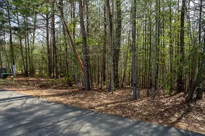 Lot 18 Flowing Springs Drive, Murphy, NC 28906 - Photo 4