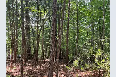 5 Birds View Lane, Murphy, NC 28906 - Photo 14