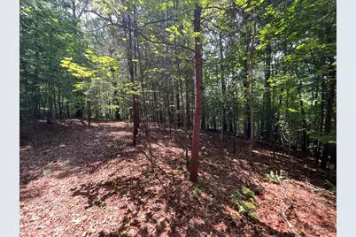 5 Birds View Lane, Murphy, NC 28906 - Photo 10