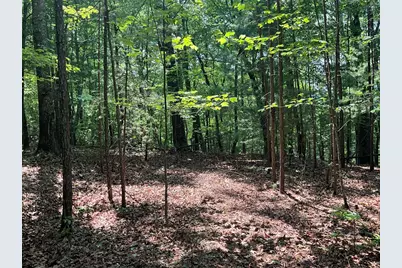 5 Birds View Lane, Murphy, NC 28906 - Photo 12