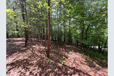 5 Birds View Lane, Murphy, NC 28906 - Photo 1