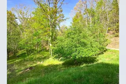 254 Joyces, Nantahala, NC 28781 - Photo 6