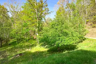254 Joyces, Nantahala, NC 28781 - Photo 6