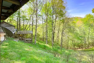 254 Joyces, Nantahala, NC 28781 - Photo 8