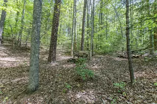 421 Sleepy Hollow, Murphy, NC 28906 - Photo 32