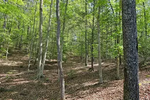 421 Sleepy Hollow, Murphy, NC 28906 - Photo 36