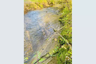 Lot 5 Carringer Road, Robbinsville, NC 28771 - Photo 2