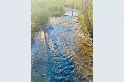 Lot 5 Carringer Road, Robbinsville, NC 28771 - Photo 4