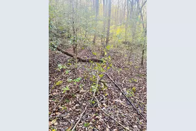 Lot 5 Carringer Road, Robbinsville, NC 28771 - Photo 10