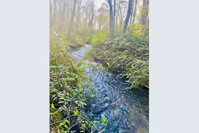 Lot 5 Carringer Road, Robbinsville, NC 28771 - Photo 1