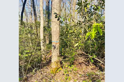 Lot 5 Carringer Road, Robbinsville, NC 28771 - Photo 14
