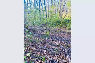 Lot 5 Carringer Road, Robbinsville, NC 28771 - Photo 8