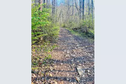 Lot 5 Carringer Road, Robbinsville, NC 28771 - Photo 12