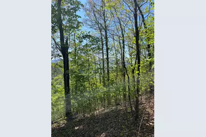 Lot 11J Ash Branch View, Hayesville, NC 28904 - Photo 4