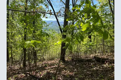 Lot 11J Ash Branch View, Hayesville, NC 28904 - Photo 8