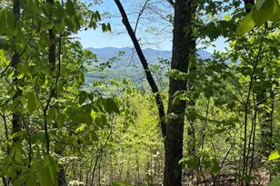 Lot 11J Ash Branch View, Hayesville, NC 28904 - Photo 1