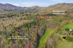 853 Caler Rd, Brasstown, NC 28902 - Photo 14